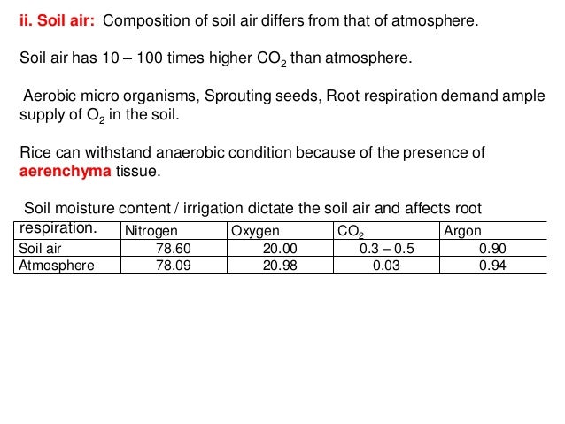 Does soil temperature affect root growth?