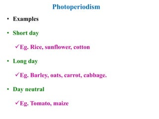 Photoperiodism
• Examples
• Short day
Eg. Rice, sunflower, cotton
• Long day
Eg. Barley, oats, carrot, cabbage.
• Day neutral
Eg. Tomato, maize
 