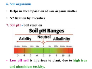 6. Soil organisms
• Helps in decomposition of raw organic matter
• N2 fixation by microbes
7. Soil pH - Soil reaction
• Low pH soil is injurious to plant, due to high iron
and aluminium toxicity.
 