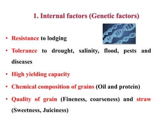 • Resistance to lodging
• Tolerance to drought, salinity, flood, pests and
diseases
• High yielding capacity
• Chemical composition of grains (Oil and protein)
• Quality of grain (Fineness, coarseness) and straw
(Sweetness, Juiciness)
 