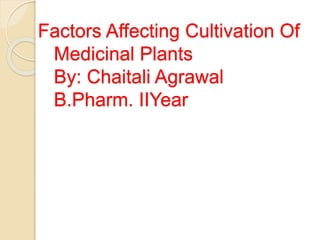 Factors Affecting Cultivation Of
Medicinal Plants
By: Chaitali Agrawal
B.Pharm. IIYear
 