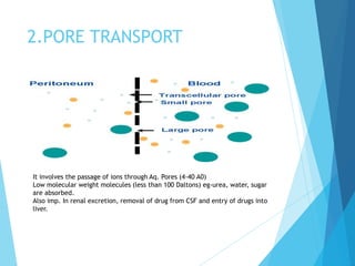 2.PORE TRANSPORT
It involves the passage of ions through Aq. Pores (4-40 A0)
Low molecular weight molecules (less than 100 Daltons) eg-urea, water, sugar
are absorbed.
Also imp. In renal excretion, removal of drug from CSF and entry of drugs into
liver.
 