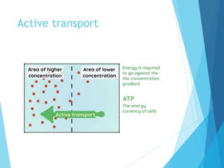 Active transport
 