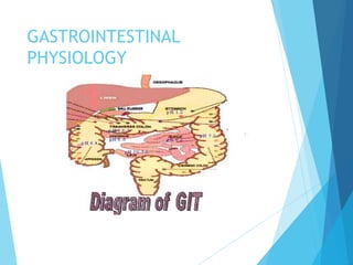 GASTROINTESTINAL
PHYSIOLOGY
 
