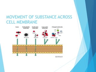MOVEMENT OF SUBSTANCE ACROSS
CELL MEMBRANE
 