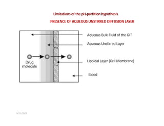 PRESENCE OF AQUEOUS UNSTIRRED DIFFUSION LAYER
Aqueous Bulk Fluid of the GIT
Aqueous Unstirred Layer
Lipoidal Layer (Cell Membrane)
Blood
Limitations of the pH-partition hypothesis
9/21/2021
 