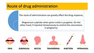 Route of drug administration
The route of administration can greatly affect the drug response,
Magnesium sulphate when giv...
