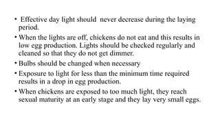 • Effective day light should never decrease during the laying
period.
• When the lights are off, chickens do not eat and this results in
low egg production. Lights should be checked regularly and
cleaned so that they do not get dimmer.
• Bulbs should be changed when necessary
• Exposure to light for less than the minimum time required
results in a drop in egg production.
• When chickens are exposed to too much light, they reach
sexual maturity at an early stage and they lay very small eggs.
 