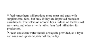 feed-range hens will produce more meat and eggs with
supplemental feed, but only if they are improved breeds or
crossbreeds. The selection of local hens is done on the basis of
resistance and other criteria rather than feed utilization for
production.
Fresh and clean water should always be provided, as a layer
can consume up tone-quarter of liter a day.
 