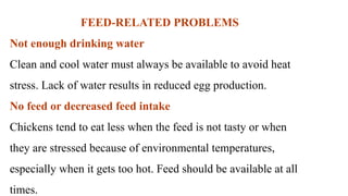 FEED-RELATED PROBLEMS
Not enough drinking water
Clean and cool water must always be available to avoid heat
stress. Lack of water results in reduced egg production.
No feed or decreased feed intake
Chickens tend to eat less when the feed is not tasty or when
they are stressed because of environmental temperatures,
especially when it gets too hot. Feed should be available at all
times.
 