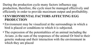 During the production cycle many factors influence egg
production, therefore, the cycle must be managed effectively and
efficiently in order to provide maximum output and profitability.
• ENVIRONMENTAL FACTORS AFFECTING EGG
PRODUCTION
• Environment may be visualized at the surroundings in which a
bird is placed or conditions to which it is subjected.
• The expression of the potentialities of an animal including the
Avians ,is the sum of the responses of the animal Or bird to their
genetic makeup and their interaction with the environment in
which they are placed
 