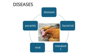 DISEASES
diseases
bacterial
metaboli
c
viral
parasitic
 