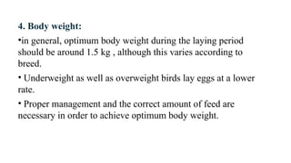 4. Body weight:
•in general, optimum body weight during the laying period
should be around 1.5 kg , although this varies according to
breed.
• Underweight as well as overweight birds lay eggs at a lower
rate.
• Proper management and the correct amount of feed are
necessary in order to achieve optimum body weight.
 