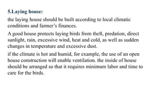 5.Laying house:
the laying house should be built according to local climatic
conditions and farmer’s finances.
A good house protects laying birds from theft, predation, direct
sunlight, rain, excessive wind, heat and cold, as well as sudden
changes in temperature and excessive dust.
if the climate is hot and humid, for example, the use of an open
house construction will enable ventilation. the inside of house
should be arranged so that it requires minimum labor and time to
care for the birds.
 