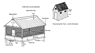 TYPES OF LAYING HOUSES
Open house type
Housing for hot - arid climates
 