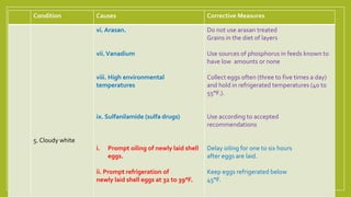 Condition Causes Corrective Measures
5. Cloudy white
vi. Arasan.
vii.Vanadium
viii. High environmental
temperatures
ix. Sulfanilamide (sulfa drugs)
i. Prompt oiling of newly laid shell
eggs.
ii. Prompt refrigeration of
newly laid shell eggs at 32 to 39°F.
Do not use arasan treated
Grains in the diet of layers
Use sources of phosphorus in feeds known to
have low amounts or none
Collect eggs often (three to five times a day)
and hold in refrigerated temperatures (40 to
55°F.).
Use according to accepted
recommendations
Delay oiling for one to six hours
after eggs are laid.
Keep eggs refrigerated below
45°F.
 