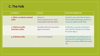 Condition Causes Corrective Measures
1. Olive- or salmon colored
yolks
.
(found in
some ca5 percent or more
cottonseed meal ttle diets).
Avoid its use in the diet of layers.
Do not allow freerange poultry to
consume spilled cattle feed
2. Platinum yolks
(colorless yolks)
Possible infection (causative
agent unknown)
Antibiotics. (200 gm auremycin
and 2 lbs NF-180 per ton of feed
for seven days.)
3. Colorless yolks Lack of xanthophyll Consideration should be given to
the source of xanthophyll such as
yellow corn meal, alfalfa leaf meal,
etc.
C.TheYolk
 
