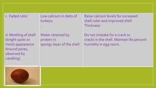 c. Faded color
d. Mottling of shell
(bright spots or
moist appearance
Around pores,
observed by
candling)
Low calcium in diets of
turkeys.
.
Water retained by
protein in
spongy layer of the shell.
Raise calcium levels for increased
shell color and improved shell
Thickness
Do not mistake for a crack or
cracks in the shell. Maintain 80 percent
humidity in egg room.
 