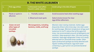 B.THE WHITE (ALBUMEN)
1. Pink egg whites Cottonseed meal (often
found in cattle rations)
Avoid using in the diet of layers
2. Flecks or spots in
albumen
i. Partially cooked
ii. Blood and meat spots
Avoid excessive heat when washing eggs
Select strains known for clear
egg whites (albumen).
3. Green rot and
other types of
microbial
spoilage.
Microorganisms, including
bacteria, molds, and fungi
Maintain clean nesting materials. Gather eggs
frequently (three to five times day). Use clean water
for washing eggs. Maintain temperature of egg wash
water(100 to 120°F.) above that of the egg at all
times. Use recommended amounts of detergents and
sanitizers. Keep equipment clean. Use clean packing
materials. Keep eggs refrigerated. Green rot is easily
detected with an ultraviolet lamp candler. Other
types of advanced spoilage are easily detected with
regular candling techniques. Egg wash water
containing 0.4 ppm of iron can promote bacterial
spoilage.
 
