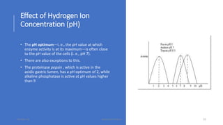 Effect of Hydrogen Ion
Concentration (pH)
• The pH optimum—i. e., the pH value at which
enzyme activity is at its maximum—is often close
to the pH value of the cells (i. e., pH 7).
• There are also exceptions to this.
• The proteinase pepsin , which is active in the
acidic gastric lumen, has a pH optimum of 2, while
alkaline phosphatase is active at pH values higher
than 9
30-Mar-18 Namrata Chhabra 22
 