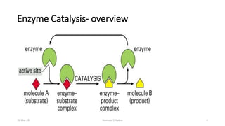 Enzyme Catalysis- overview
30-Mar-18 Namrata Chhabra 4
 