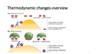 Thermodynamic changes-overview
30-Mar-18 Namrata Chhabra 6
 
