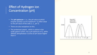 Effect of Hydrogen Ion
Concentration (pH)
• The pH optimum—i. e., the pH value at which
enzyme activity is at its maximum—is often close
to the pH value of the cells (i. e., pH 7).
• There are also exceptions to this.
• The proteinase pepsin , which is active in the
acidic gastric lumen, has a pH optimum of 2, while
alkaline phosphatase is active at pH values higher
than 9
15-May-20 Namrata Chhabra 22
 