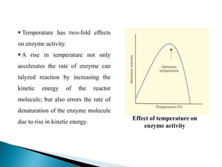  Temperature has two-fold effects
on enzyme activity.
 A rise in temperature not only
accelerates the rate of enzyme can
talyzed reaction by increasing the
kinetic energy of the reactor
molecule; but also errors the rate of
denaturation of the enzyme molecule
due to rise in kinetic energy.
Effect of temperature on
enzyme activity
 