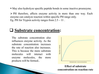  Substrate concentration:
 May also hydrolyze specific peptide bonds in some inactive proenzyme.
 PH therefore, affects enzyme activity in more than one way. Each
enzyme can catalyze reaction within specific PH range only.
Eg. PH for Trypsin activity ranges from 2.5 – 11 .
The substrate concentration also
influences enzyme activity. As the
substrate concentration increases
the rate of reaction also increases.
This is because the more substrate
molecules will interact with
enzyme molecules, the more
products will be formed..
Effect of substrate
concentration on reaction rate
 