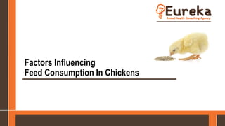 Factors Influencing
Feed Consumption In Chickens
 