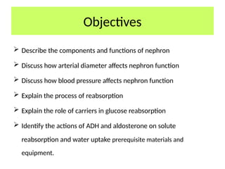 Objectives
 Describe the components and functions of nephron
 Discuss how arterial diameter affects nephron function
 Discuss how blood pressure affects nephron function
 Explain the process of reabsorption
 Explain the role of carriers in glucose reabsorption
 Identify the actions of ADH and aldosterone on solute
reabsorption and water uptake prerequisite materials and
equipment.
 