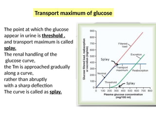 The point at which the glucose
appear in urine is threshold .
and transport maximum is called
splay.
The renal handling of the
glucose curve,
the Tm is approached gradually
along a curve,
rather than abruptly
with a sharp deflection
The curve is called as splay.
Transport maximum of glucose
 