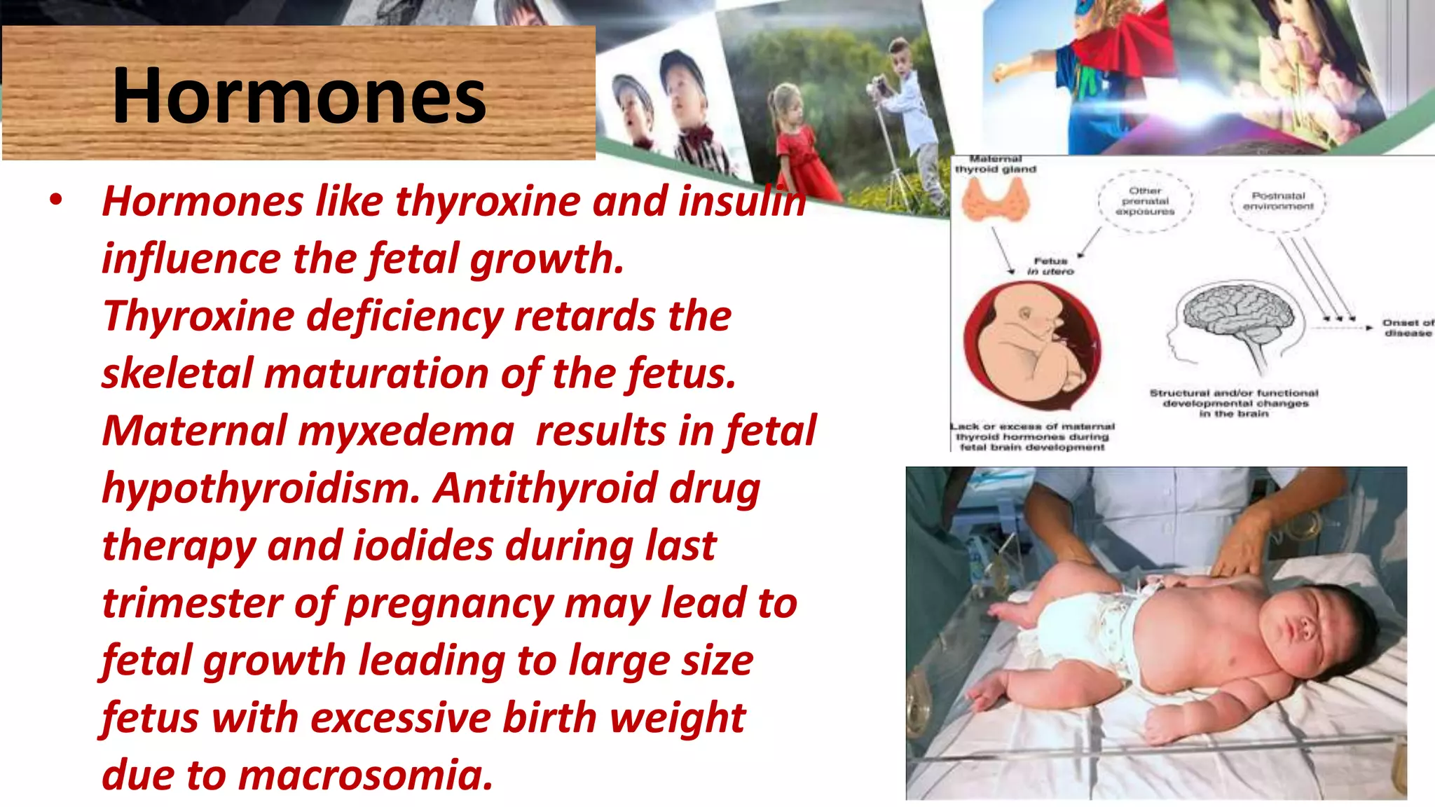 Hormones
• Hormones like thyroxine and insulin
influence the fetal growth.
Thyroxine deficiency retards the
skeletal maturation of the fetus.
Maternal myxedema results in fetal
hypothyroidism. Antithyroid drug
therapy and iodides during last
trimester of pregnancy may lead to
fetal growth leading to large size
fetus with excessive birth weight
due to macrosomia.
 