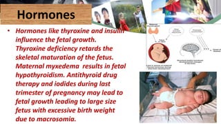 Hormones
• Hormones like thyroxine and insulin
influence the fetal growth.
Thyroxine deficiency retards the
skeletal maturation of the fetus.
Maternal myxedema results in fetal
hypothyroidism. Antithyroid drug
therapy and iodides during last
trimester of pregnancy may lead to
fetal growth leading to large size
fetus with excessive birth weight
due to macrosomia.
 