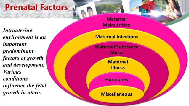 Factors affecting growth and development | PPTX | Birth | Personal ...