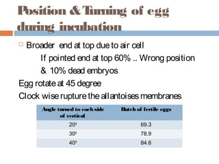 Position &Turning of egg
during incubation
 Broader end at top dueto air cell
If pointed end at top 60% .. Wrong position
& 10% dead embryos
Egg rotateat 45 degree
Clock wiserupturetheallantoisesmembranes
Angle turned to each side
of vertical
Hatch of fertile eggs
200
69.3
300
78.9
400
84.6
 