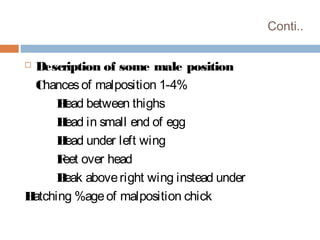 Conti..
 Description of some male position
Chancesof malposition 1-4%
Head between thighs
Head in small end of egg
Head under left wing
Feet over head
Beak aboveright wing instead under
Hatching %ageof malposition chick
 