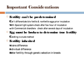 Important Considerations
 Fertility can’t be predetermined
Can’t differentiateb/w fertile& nonfertileeggsprior incubation
With Special light system-check after few hour of incubation
with Commercial chandlers- check after several daysof incubation
 Egg must be broken to determine true fertility
Candling iscrudemethod
 Fertility inherited
Strainsdifference
Individual difference
Better fertility through genetic selection in breeds
 