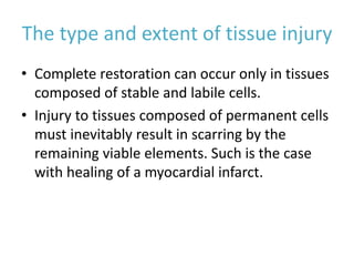 The type and extent of tissue injury
• Complete restoration can occur only in tissues
composed of stable and labile cells.
• Injury to tissues composed of permanent cells
must inevitably result in scarring by the
remaining viable elements. Such is the case
with healing of a myocardial infarct.
 