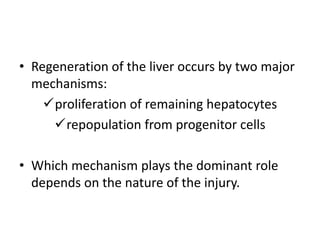 • Regeneration of the liver occurs by two major
mechanisms:
proliferation of remaining hepatocytes
repopulation from progenitor cells
• Which mechanism plays the dominant role
depends on the nature of the injury.
 