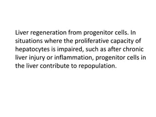 Liver regeneration from progenitor cells. In
situations where the proliferative capacity of
hepatocytes is impaired, such as after chronic
liver injury or inflammation, progenitor cells in
the liver contribute to repopulation.
 