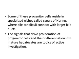 • Some of these progenitor cells reside in
specialized niches called canals of Hering,
where bile canaliculi connect with larger bile
ducts.
• The signals that drive proliferation of
progenitor cells and their differentiation into
mature hepatocytes are topics of active
investigation.
 