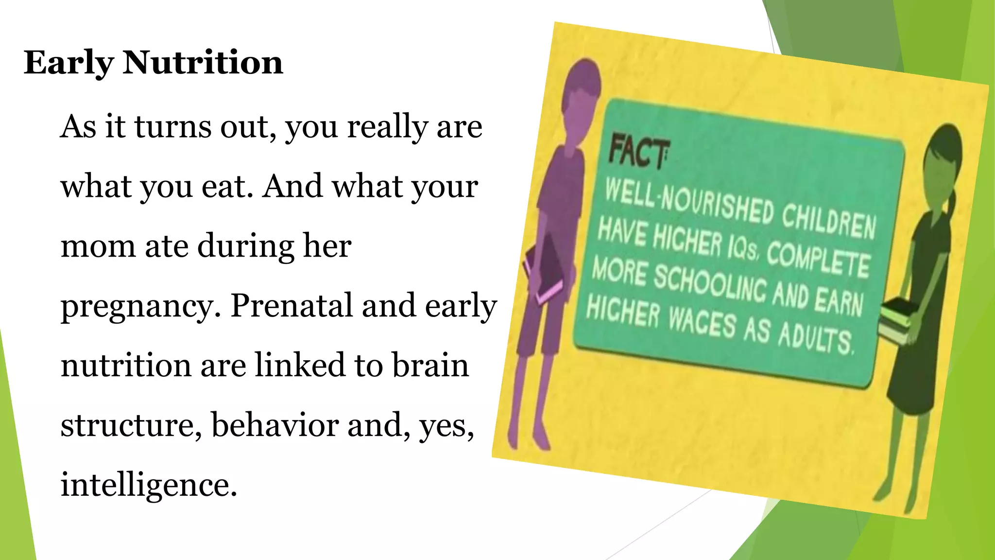 Early Nutrition
As it turns out, you really are
what you eat. And what your
mom ate during her
pregnancy. Prenatal and early
nutrition are linked to brain
structure, behavior and, yes,
intelligence.
 
