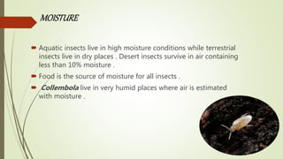 MOISTURE
 Aquatic insects live in high moisture conditions while terrestrial
insects live in dry places . Desert insects survive in air containing
less than 10% moisture .
 Food is the source of moisture for all insects .
 Collembola live in very humid places where air is estimated
with moisture .
 