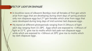 EFFECTOF LIGHTONDIAPAUSE
 In bivoltine races of silkworm Bombyx mori all females of first gen which
arise from eggs that are developing during short days of spring produce
only non diapause eggs but 2nd gen females which arise from eggs that
were developed during long days of mid summer laid diapause eggs .
 He reared at different photoperiods ranging from 0-24hours of light
each day ranging from 15-28⁰C . Eggs which are exposed to <14hours of
light at 15 ⁰C give rise to moths which laid pale non diapause eggs
while which are exposed to >16hours at 20⁰C give rise to moths which
lay dark diapause eggs .
 