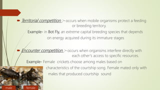  Territorial competition :- occurs when mobile organisms protect a feeding
or breeding territory.
Example- in Bot Fly, an extreme capital breeding species that depends
on energy acquired during its immature stages
 Encounter competition :- occurs when organisms interfere directly with
each other’s access to specific resources.
Example- Female crickets choose among males based on
characteristics of the courtship song. Female mated only with
males that produced courtship sound
femalemale
 