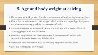 5. Age and body weight at calving
The amount of milk produced by the cow increases with advancing lactations (age)
This is due to an increase in body weight, which results in a larger digestive system
and a larger mammary gland for the secretion of milk
Another reason for increased milk production with age is due to the effects of
recurring pregnancies and lactations
Recurring pregnancies and lactation can result in increases of 30% in milk
production from the first to the fifth lactation
Increase in milk production 80% by recurring pregnancy and lactations
20% due to increased body weight
 