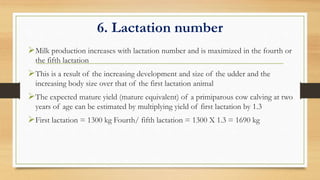 6. Lactation number
Milk production increases with lactation number and is maximized in the fourth or
the fifth lactation
This is a result of the increasing development and size of the udder and the
increasing body size over that of the first lactation animal
The expected mature yield (mature equivalent) of a primiparous cow calving at two
years of age can be estimated by multiplying yield of first lactation by 1.3
First lactation = 1300 kg Fourth/ fifth lactation = 1300 X 1.3 = 1690 kg
 