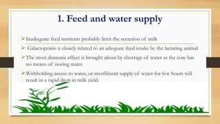 1. Feed and water supply
Inadequate feed nutrients probably limit the secretion of milk
 Galactopoisis is closely related to an adequate feed intake by the lactating animal
The most dramatic effect is brought about by shortage of water as the cow has
no means of storing water.
Withholding access to water, or insufficient supply of water for few hours will
result in a rapid drop in milk yield.
 