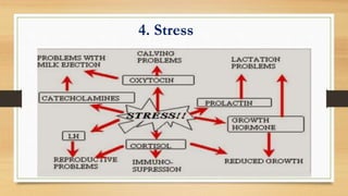 4. Stress
 